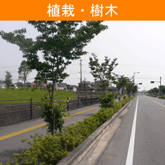 植栽・樹木
